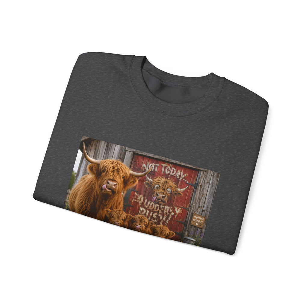 Highland Cow Family Sweatshirt - 'Not Today I’m Moody & Fluffy' Cozy Crewneck