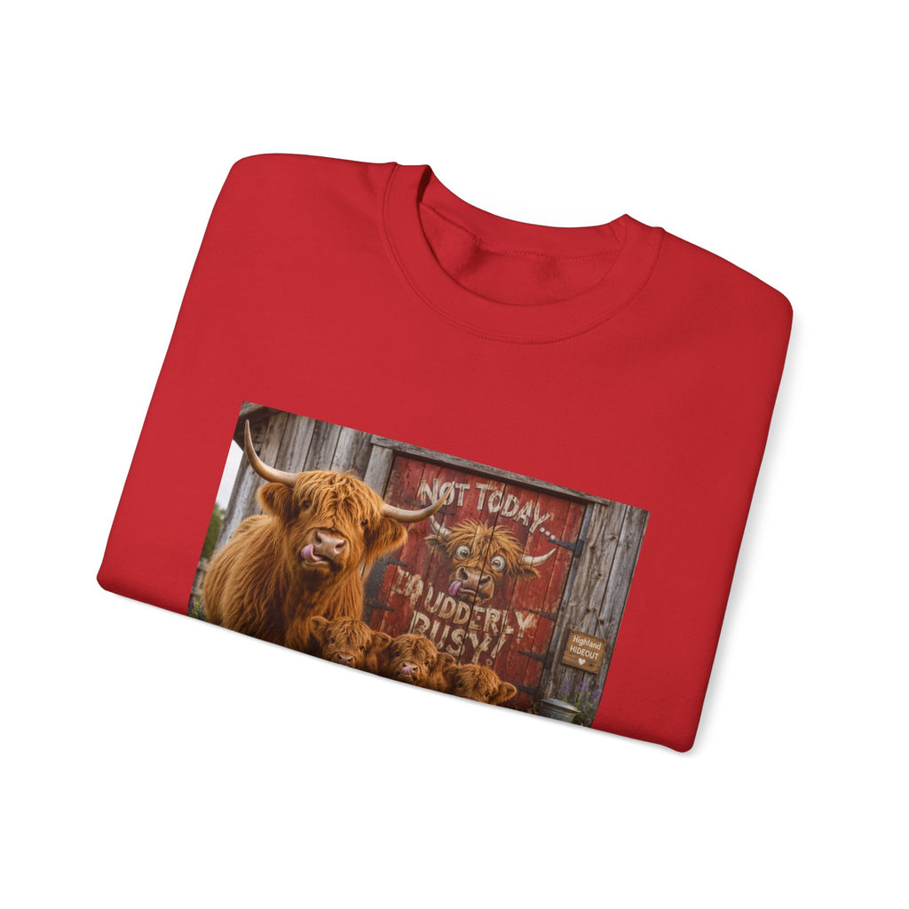 Highland Cow Family Sweatshirt - 'Not Today I’m Moody & Fluffy' Cozy Crewneck